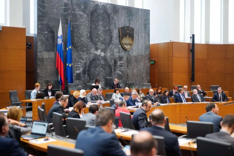 O omejitvi vaških straž ne bodo odločali po nujnem postopku