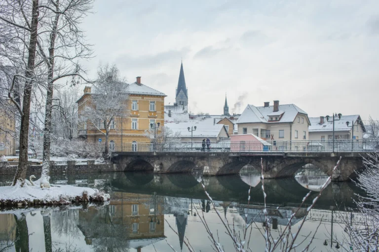 V Kočevju si podajajo odgovornost za kriminal