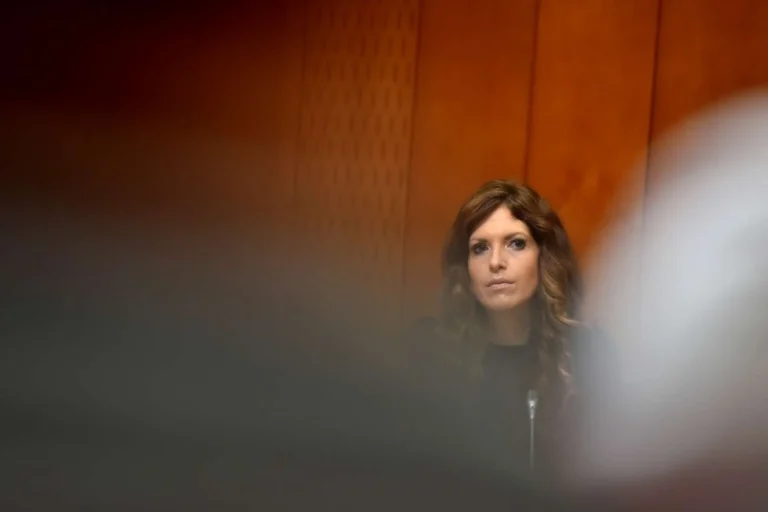 Ni res, da na spletni platformi Sveta Evrope lahko kdorkoli objavlja karkoli