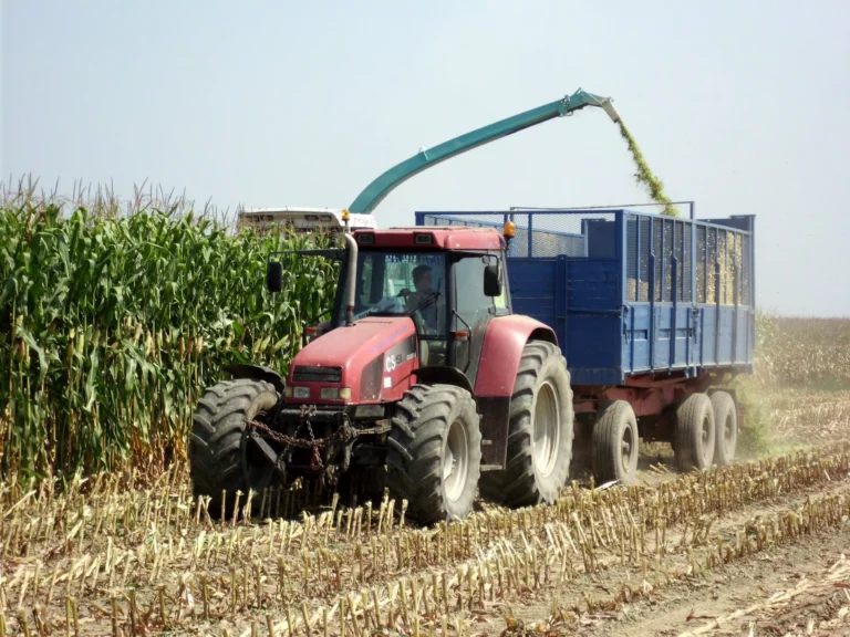 How Slavonian companies cheated farmers and the state