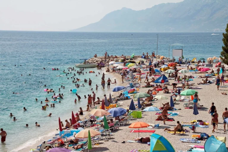 Portal napačno interpretiral podatke Eurostata