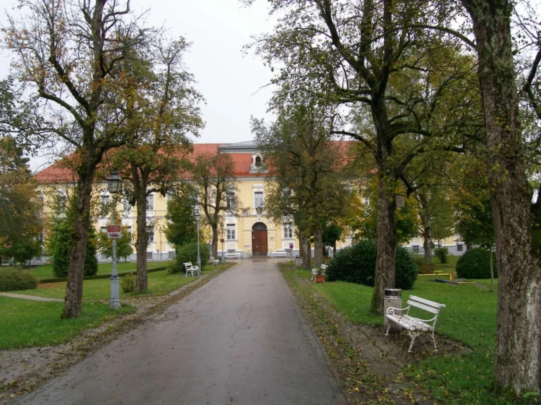 Vlada odpravlja neustavnost zakona o duševnem zdravju