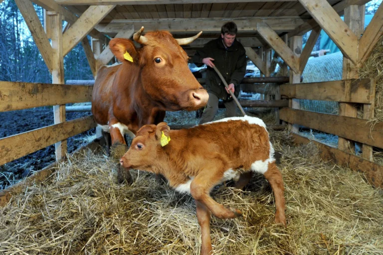 V Sloveniji je delovno aktivnih več kot 4600 kmetov