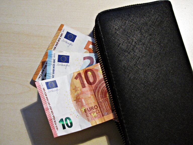 Na Češkem so plače in življenjski stroški nižji kot v Sloveniji